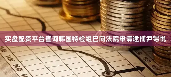 实盘配资平台查询韩国特检组已向法院申请逮捕尹锡悦