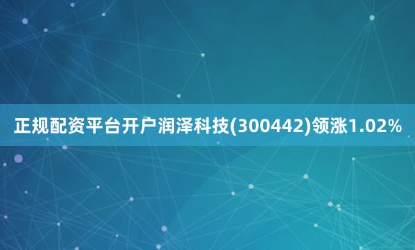 正规配资平台开户润泽科技(300442)领涨1.02%