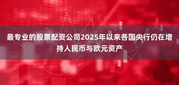 最专业的股票配资公司2025年以来各国央行仍在增持人民币与欧元资产