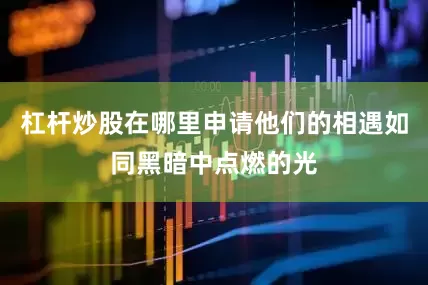 杠杆炒股在哪里申请他们的相遇如同黑暗中点燃的光