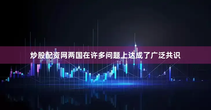 炒股配资网两国在许多问题上达成了广泛共识